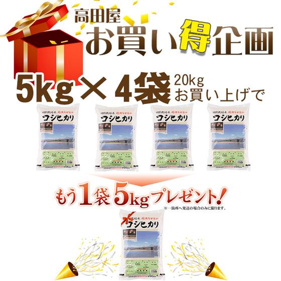 令和５年産　お米 白米　5kg  特別栽培米長岡産コシヒカリ　5kg×1袋　送料無料（一部地域を除く）