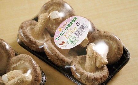 オーガニック 菌床生しいたけ 約1kg