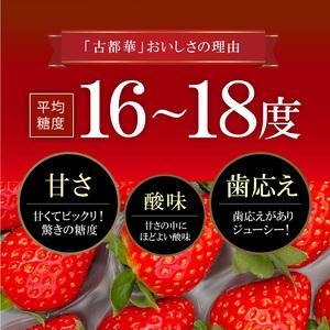 ふるさと納税 高級いちご「古都華」4Lサイズ以上２パック いちご 高級 古都華 4Lサイズ以上 280g × 2パック 約560g .. 奈良県生駒市