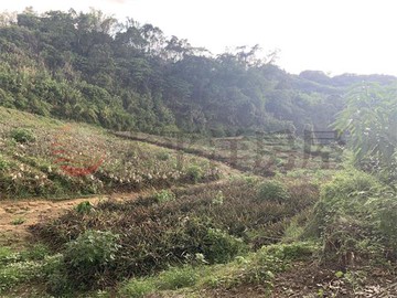 龍崎區公所有路農牧地｜台南市龍崎區崎頂