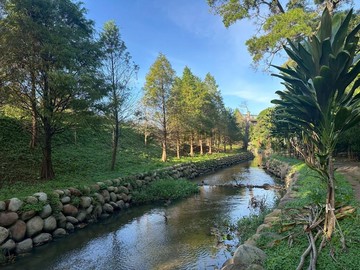 平鎮66旁近生態步道漂亮大面寬美田｜桃園市平鎮區鎮興段