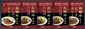 飛騨高山ファクトリー 松阪牛・近江牛・飛騨牛仕込みハンバーグカレー詰合せ B