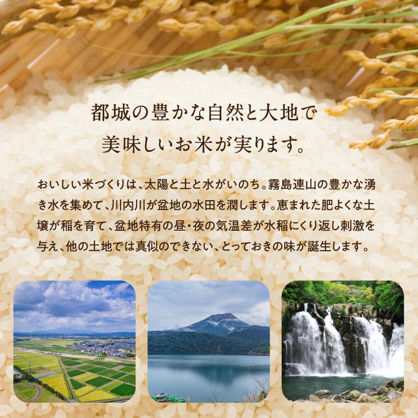 三十雑穀 ふるさと米 しあわせゴハンセット 国産 ひのひかり 無洗米 30雑穀米 雑穀 雑穀米 1食で30品目の栄養 送料無料 ポイント消化