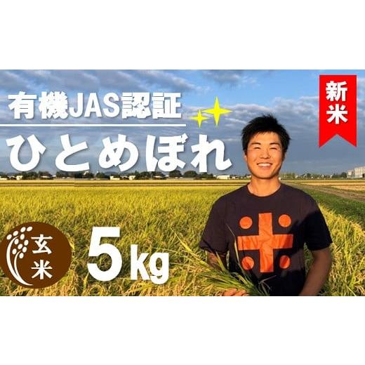 ふるさと納税 山形県 三川町 ecofarmすがわらの有機JAS認証ひとめぼれ5kg