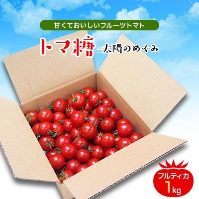 ふるさと納税 南アルプス市 おいしい〜甘〜いフルーツトマト「トマ糖-太陽のめぐみ」1kg