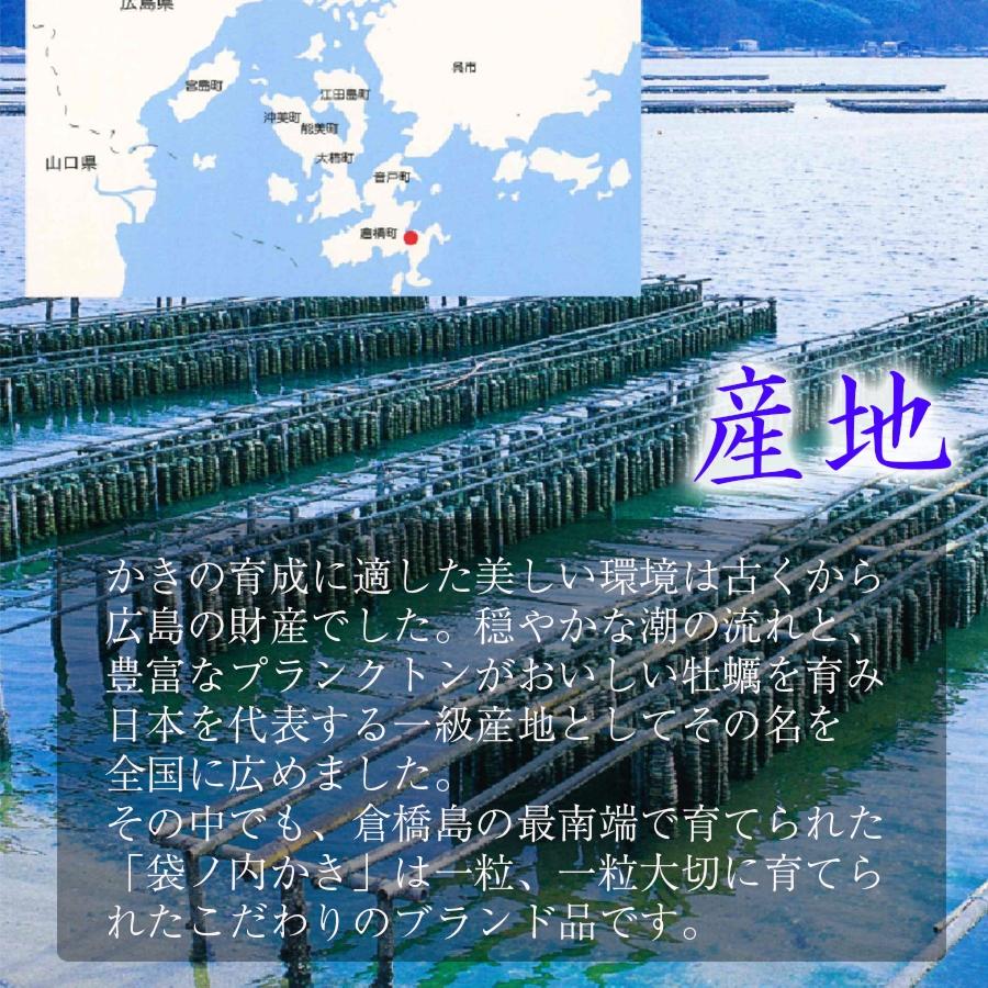 広島県産 牡蠣フライ 20粒入 かき カキフライ 500g 大粒 手仕込み 産直 同梱推奨 約25g×20個 袋ノ内 国産 安心 取り寄せ 産地直送 北吉水産