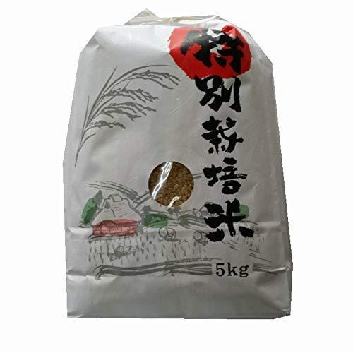 新米 令和3年 熊本県 天草地方産 こしひかり 特別栽培米 玄米 5kg