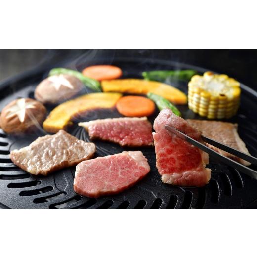 ふるさと納税 石川県 輪島市 能登牛　カルビ焼肉用（500g）