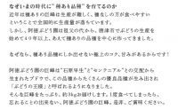 『予約受付』唐津市産種あり大粒「巨峰」約3kg(5～8房) ぶどう ブドウ 果物 フルーツ ギフト