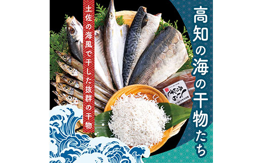 高知の海の干物たち＜土佐の海風で干した抜群の干物を＞＜高知市・南国市共通返礼品＞