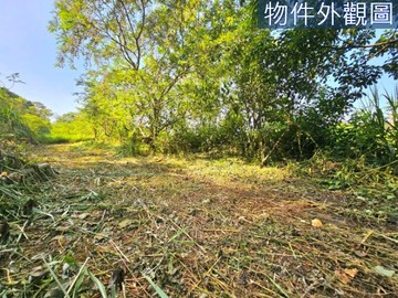 專任＆中寮青山綠野風光明媚2.5分休閒農地｜南投縣中寮鄉分水寮段