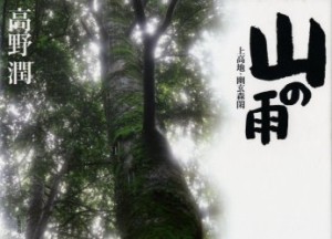 山の雨　上高地・幽玄森閑　高野潤 著