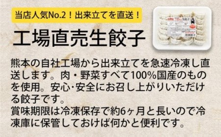  八代市東陽町の生姜を使った 餃子の王国 人気生餃子126個 ぎょうざ ギョウザ