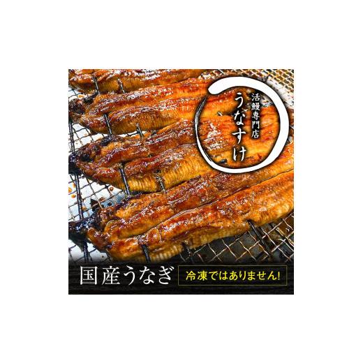 ふるさと納税 大阪府 寝屋川市 国産うなぎ蒲焼き (5匹)｜名店 鰻 ウナギ うな丼 鰻丼 冷蔵 クール便 ひつまぶし 丑の日 簡単調理 [0528]