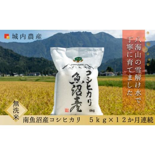 ふるさと納税 新潟県 南魚沼市 新米 令和５年産 南魚沼産コシヒカリ　無洗米５ｋｇ＜５割減農薬栽培米＞　城内農産