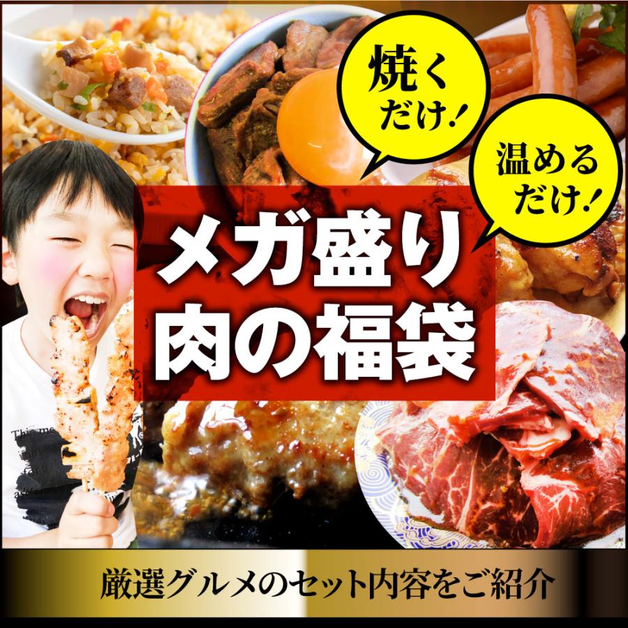 肉 福袋 肉の福袋 「梅福袋」牛肉 食品 メガ盛り 総重量2.5kg超 焼くだけ＆レンジで簡単調理！ランキング1位＆人気のお肉豪華セット