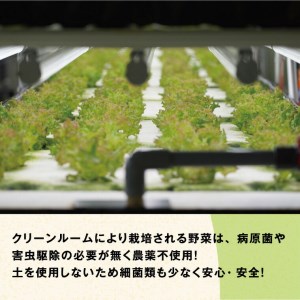 10-03 植物工場産野菜・お徳用12セット（１年契約）１セット×１２回