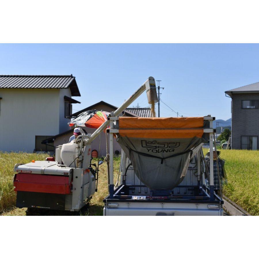 令和5年産　炊くとふっくら！霊峰富士山の湧き水が作った絶品コシヒカリ10kg　（10キロ）  100％新米 白米 お米 コシヒカリ 静岡産　単一原料米