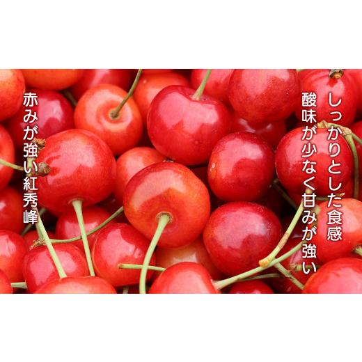 ふるさと納税 北海道 余市町 2024年発送令和6年産 フルーツ王国余市産 紅秀峰 Lサイズ 500g×2パック 1kg ニトリ観光果樹園 さくらんぼ フルーツ …