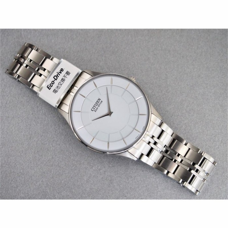 ◇新品◇シチズンコレクション AR3010-65A【エコ・ドライブ