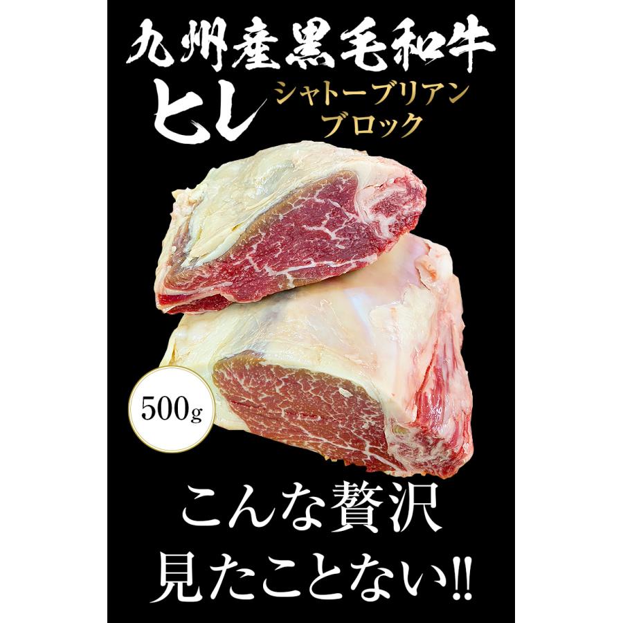 九州産黒毛和牛ヒレ シャトーブリアン ブロック 500g 九州産 黒毛和牛 ヒレ ステーキ BBQ バーベキュー