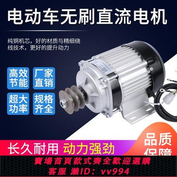 {公司貨 最低價}三角皮帶輪A型單雙槽48V60V500W800W永磁直流無刷減速電機設備改