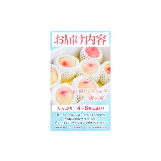 ふるさと納税 岡山県 浅口市 岡山の桃 もも 1.3kg 4~8玉前後 岡山県産 ご家庭用《2024年6月下旬-9月上旬頃より発送予定》岡山県 浅口市 厳選出荷 …