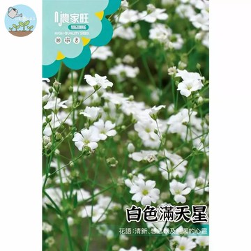 【原廠包裝】滿天星種子（白）(Gypsophila (white)2克裝 不挑土壤好種植 開花如星空 乾燥花 DIY花藝