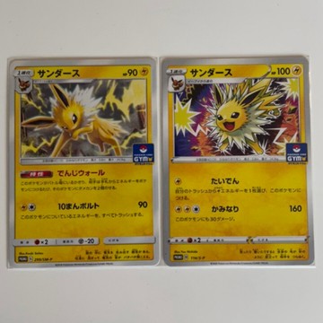 PTCG (日文版) 寶可夢 伊布 GYM 特典卡 伊布 雷伊布 二張一組