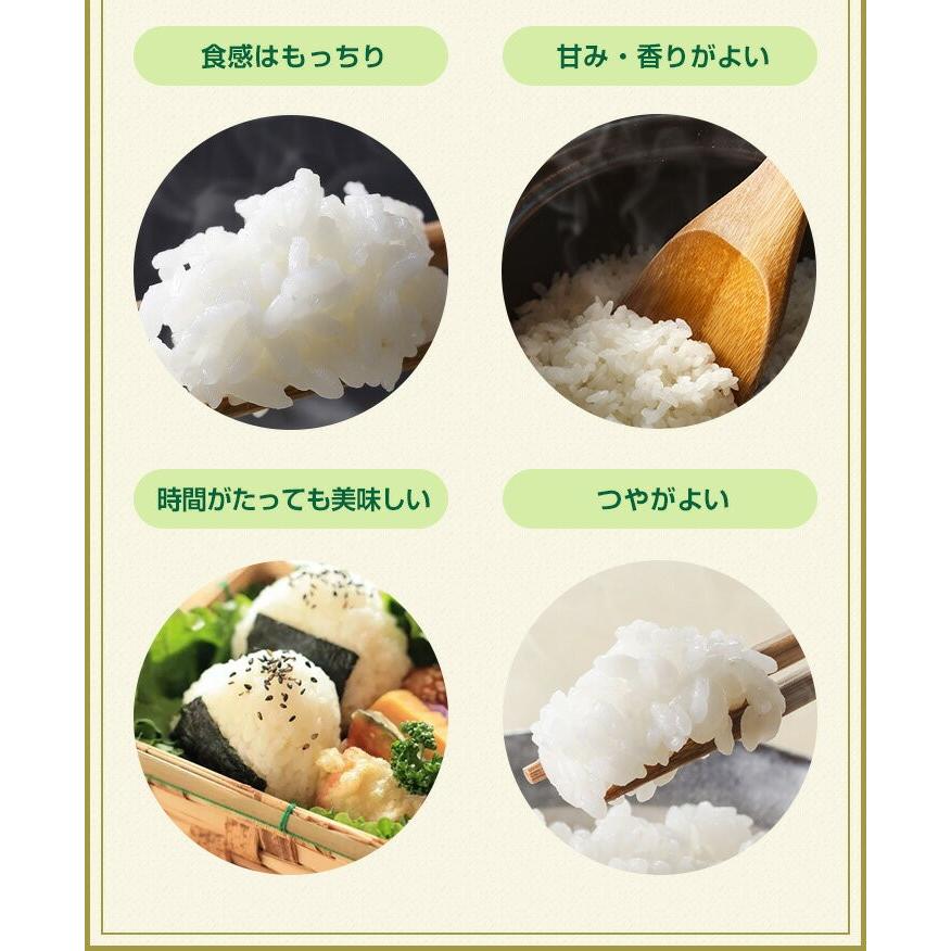 新米　お米 2kg 送料無料 さがびより 佐賀県産　令和5年度 2kg