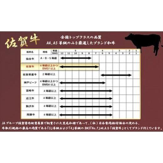 ふるさと納税 佐賀県 唐津市 「お歳暮」佐賀牛 希少部位 焼肉セット匠1kg 和牛 牛肉 ご褒美に ギフト用 家族 焼肉 セット「2023年 令和5年」