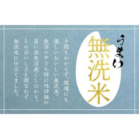 ふるさと納税 南魚沼産こしひかり無洗米10kg（5kg×2） 新潟県南魚沼市