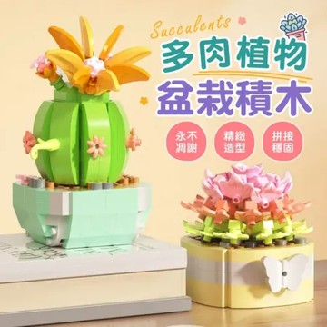 多肉植物盆栽積木(交換禮物 創意擺飾)