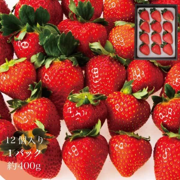 ギフト おいCベリー 苺 いちご イチゴ 1パック 12個入り 約400g strawberry たっぷりビタミンC  産地直送 お取り寄せ