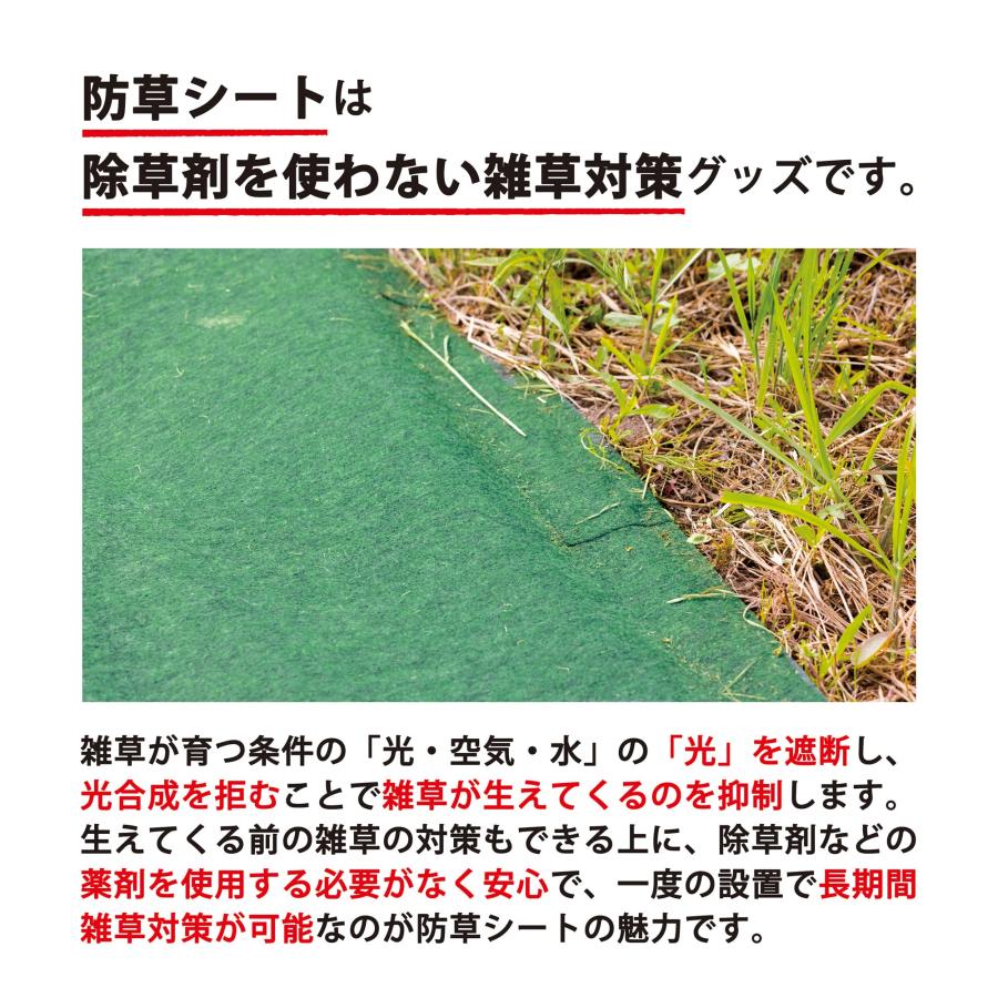 ザバーン 防草シート 強力タイプ 1mx10m セット 固定用ピン 付属 不織布 グリーン 10年耐久 雑草 抑制 簡単施工 家庭