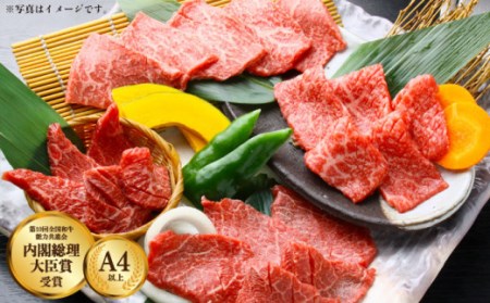 長崎和牛 食べ尽くしセット 1kg すき焼き・焼肉 各500g 食べ比べ   肉 牛肉 長崎 焼肉 すき焼き 10万円台 長崎和牛セット すき焼き肉 国産牛焼肉 国産肉 和牛 国産和牛 肉すき焼き 牛肉すき焼き 肉食べ比べ 人気和牛食べ比べ 和牛セット 長崎和牛 [OAA003]