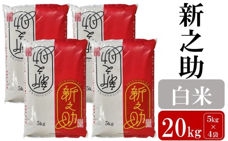 令和5年産新米新之助 白米 20kg（5kg×4袋） [C407]