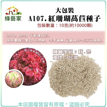 【綠藝家】大包裝A107.紅珊瑚萵苣種子10克(約10000顆) Lollo Rossa 不結球萵苣 葉形皺