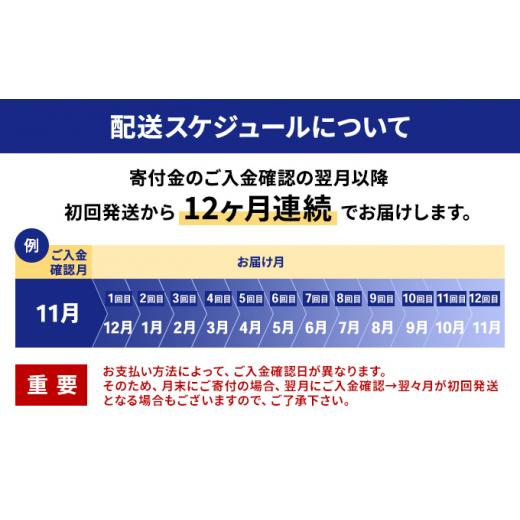 ふるさと納税 北海道 枝幸町 冷凍ほたて貝柱12ヶ月定期便