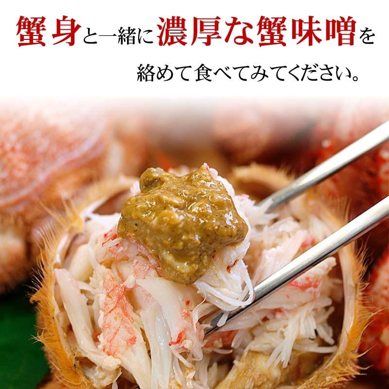 (送料無料) 海鮮グルメ盛りセット 北海道産 お取り寄せ カニ ほっけ ホタテ 甘エビ イカ塩辛 海鮮詰め合わせ、福袋(ギフト)