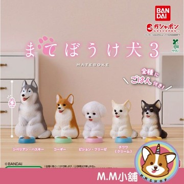 【M.M小舖】『現貨』 BANDAI 轉蛋 扭蛋 等一下狗狗P3 3 狗 哈士奇 柯基 吉娃娃 等待 呆坐 公仔 全5款