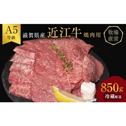 ふるさと納税 滋賀県 豊郷町 A5ランク雌牛 焼肉用 約850g （モモ・カタ・ウデ・バラ系等）