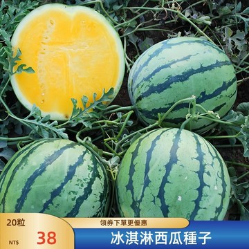 🍉青禾園藝-冰淇淋西瓜種子黃心早熟禮品夏季甜瓜種子 黃瓤水果種籽薄皮  水潤多汁 果肉金黃四季播陽臺庭院盆栽種子