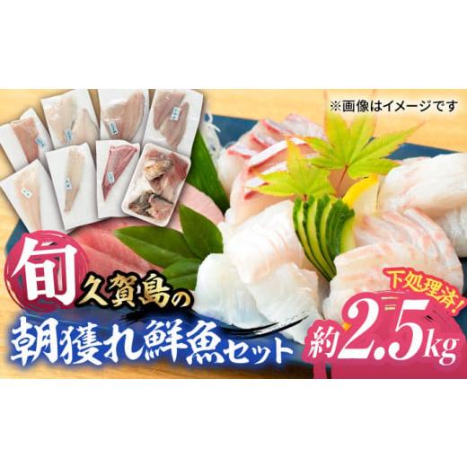 ふるさと納税 長崎県 五島市 五島産 高級 鮮魚 下処理済 約2.5kg セット 五島市／マルセイ水産[PBT002]