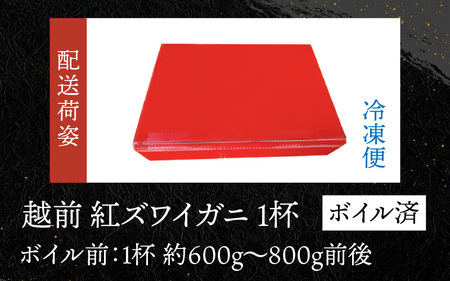 福井県産 越前紅ズワイガニ × 1杯