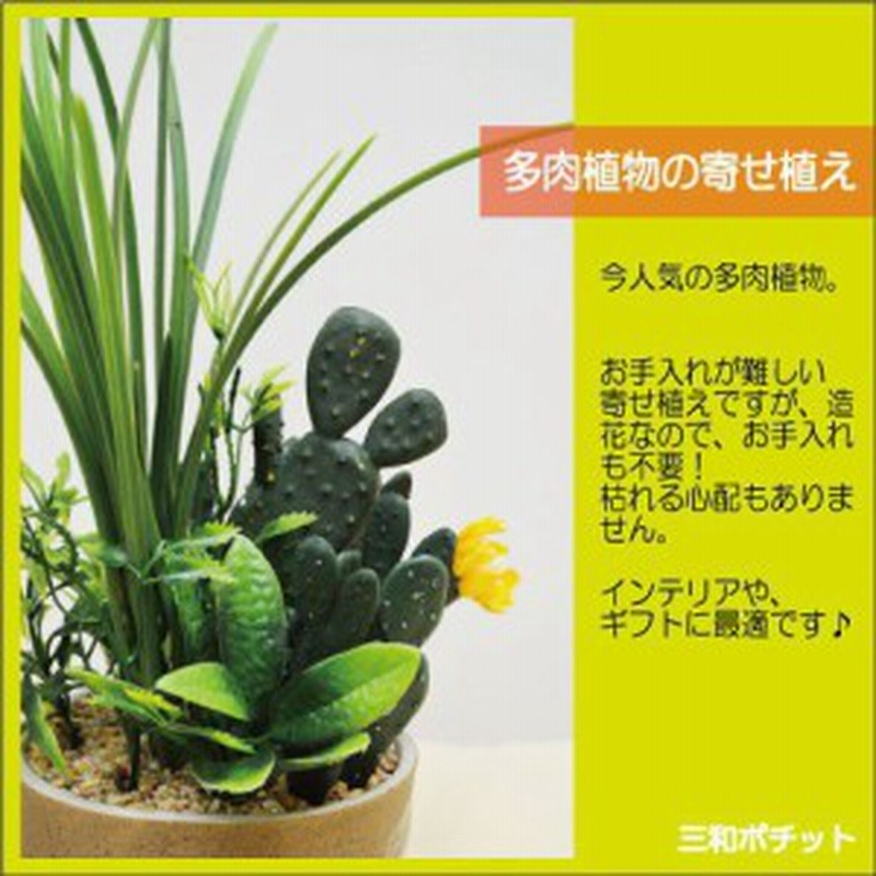 造花 フェイクグリーン 多肉植物 寄せ植え サボテン グリーンプラント インテリアグリーン Bタイプ ギフト プレゼント おしゃれ かわいい 通販 Lineポイント最大1 0 Get Lineショッピング