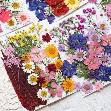 【錦繡系列】 大花包組合 真花壓花 永生花 森林系 少女寫真 壁畫 DIY水晶滴膠 乾燥花 植物標本