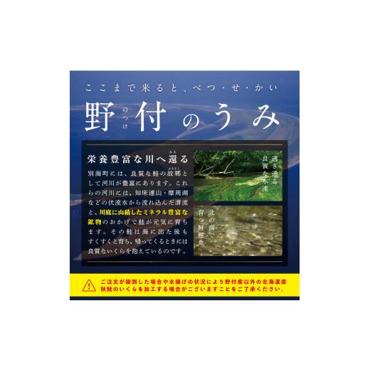 ふるさと納税 北海道 別海町 ★NR塩いくら！漁協直送！本場 北海道 産 塩イクラ 250g（野付漁業協同組合）（ふるさと納税 いくら イクラ 塩漬け…