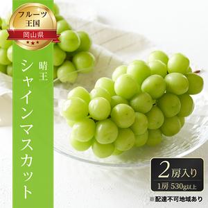 ふるさと納税 ぶどう 2024年 先行予約 ご家庭用 シャイン マスカット 晴王 優品 2房入り（1房 530g以上 露地栽培） ブドウ 葡萄  岡山県産 国.. 岡山県瀬戸内市