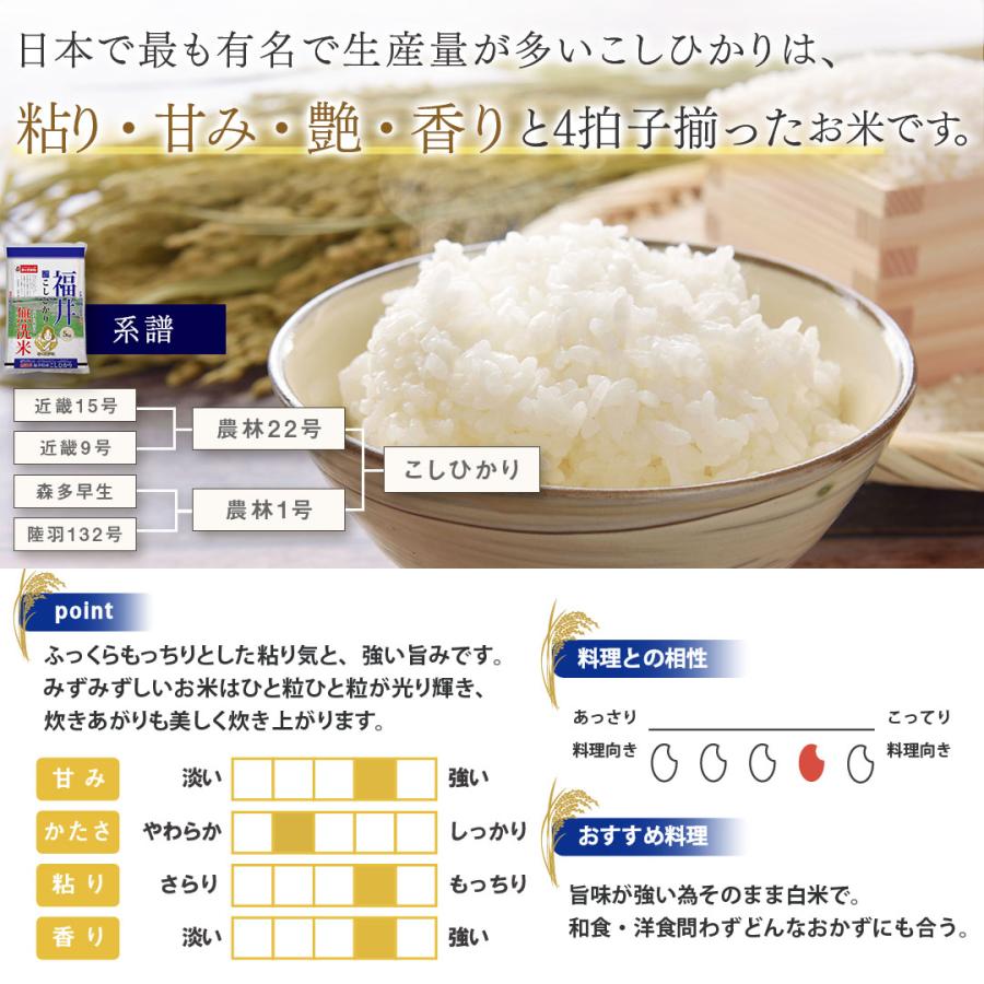 無洗米 20kg 米 コシヒカリ 福井県産 お米 送料無料 白米 精米 おこめ 20キロ こめ20kg 米20キロ お米20キロ 宅配 送料無 安い 格安 令和5年産 新米 単一原料米